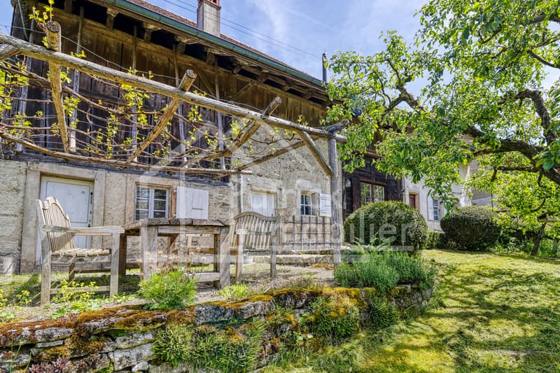 Ferme rénovée de caractère avec fort potentiel constructif (2)