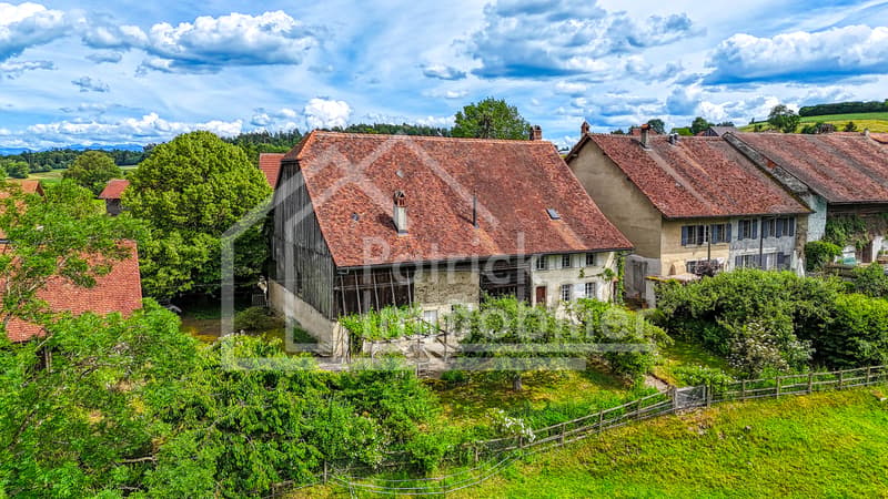 Ferme rénovée de caractère avec fort potentiel constructif (1)