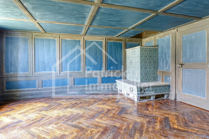 Ferme rénovée de caractère avec fort potentiel constructif (6)