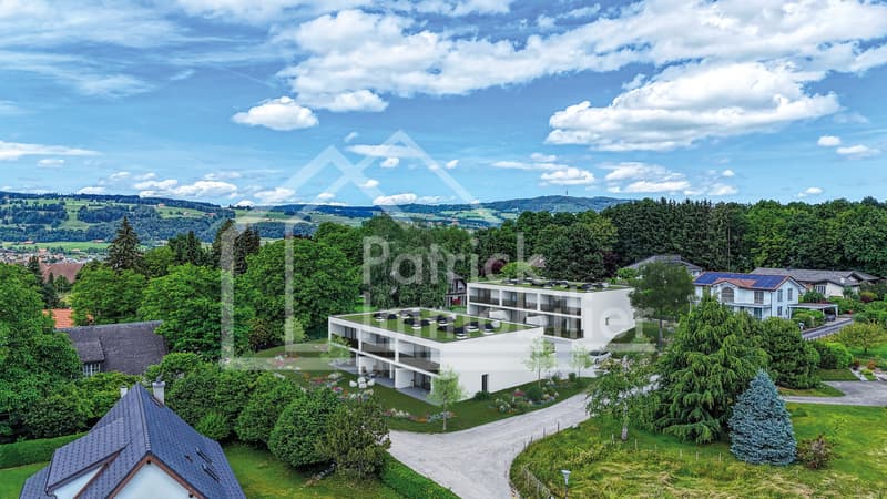 Villa A2 - 5,5 Zimmer - Die Gärten von Jericho (4)