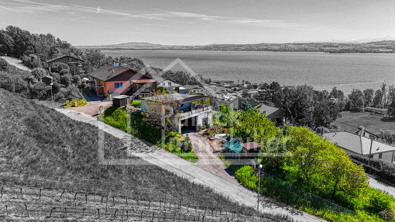 Terrain constructible de 900m2 avec vue imprenable sur le lac de Morat (1)