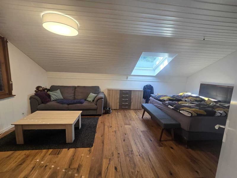 À LOUER - Magnifique duplex 5,5 pièces avec vue panoramique sur le lac (8)