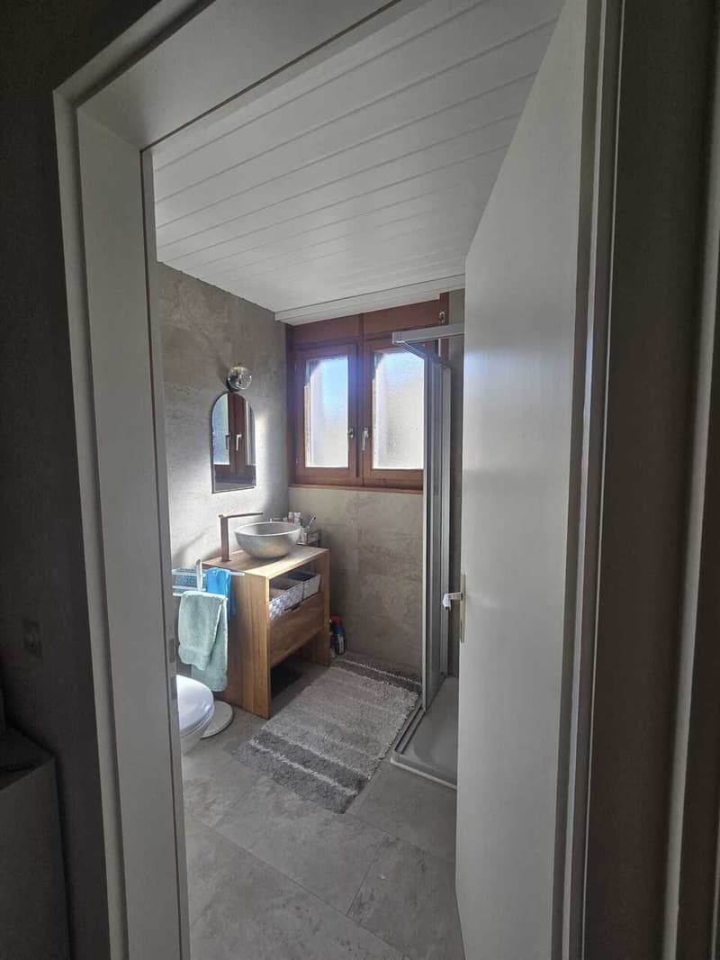 À LOUER - Magnifique duplex 5,5 pièces avec vue panoramique sur le lac (11)