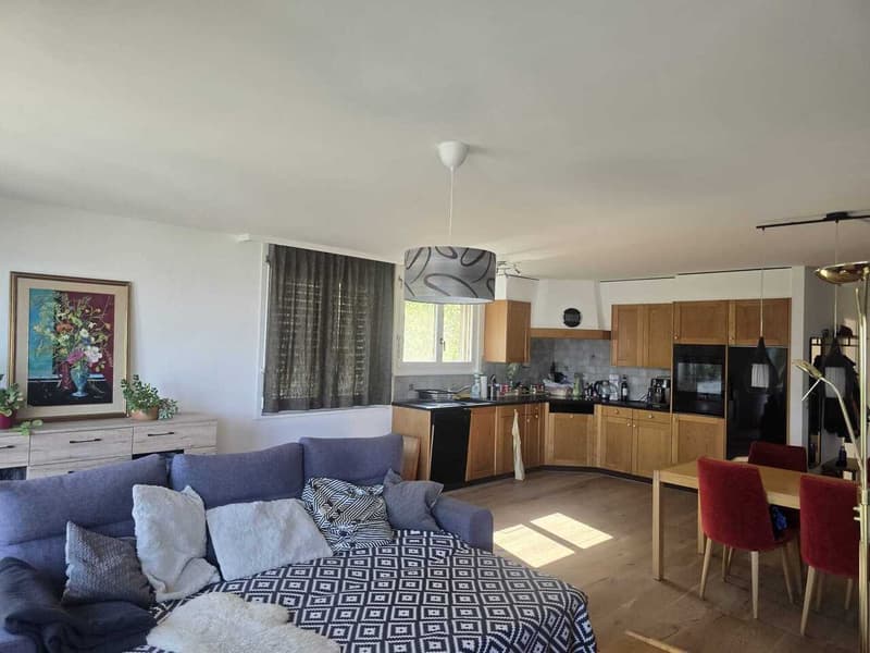 À LOUER - Magnifique duplex 5,5 pièces avec vue panoramique sur le lac (2)