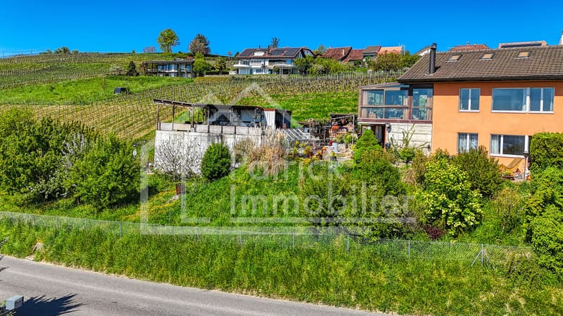 Maison mitoyenne avec vue panoramique sur le lac de Morat (2)