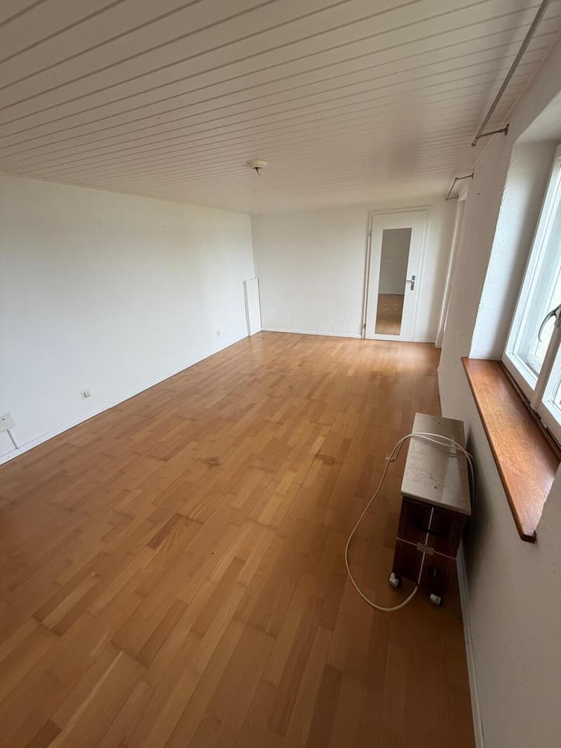 Maison individuelle à louer - Vallamand - Vue imprenable sur le lac (8)