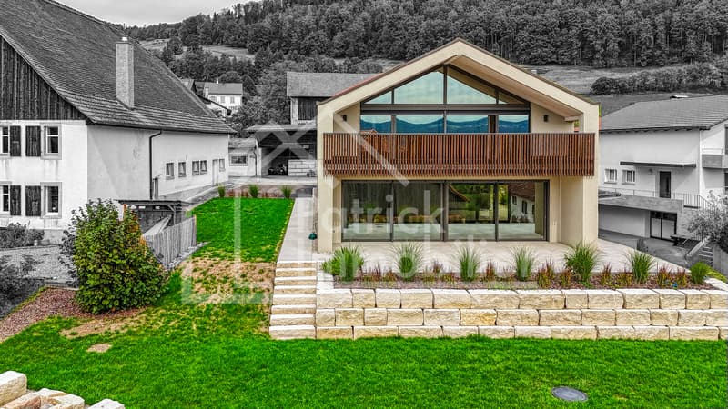 Villa contemporaine de luxe avec vue dégagée à Montavon (2)