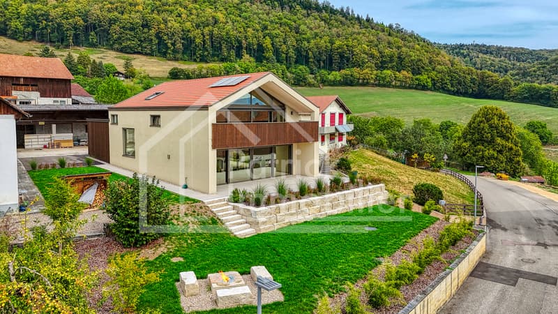 Villa contemporaine de luxe avec vue dégagée à Montavon (1)