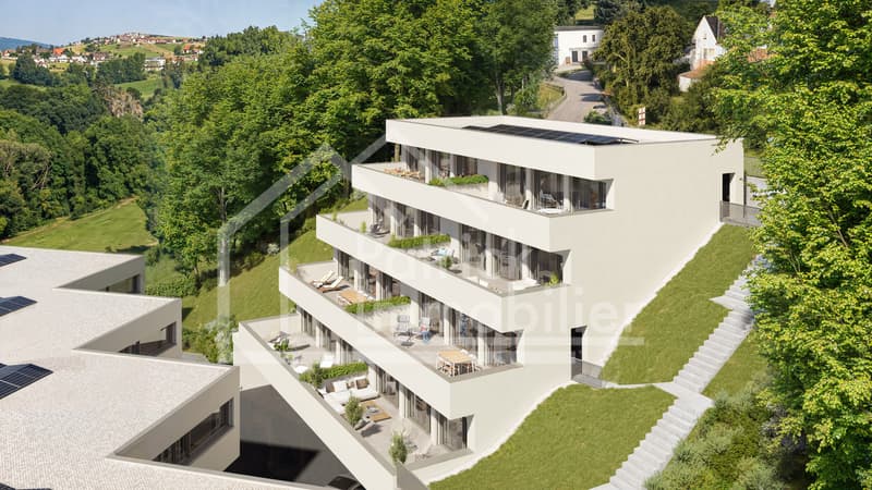 Lot A3 - Appartement 4.5 pcs Duplex en terrasse (6)