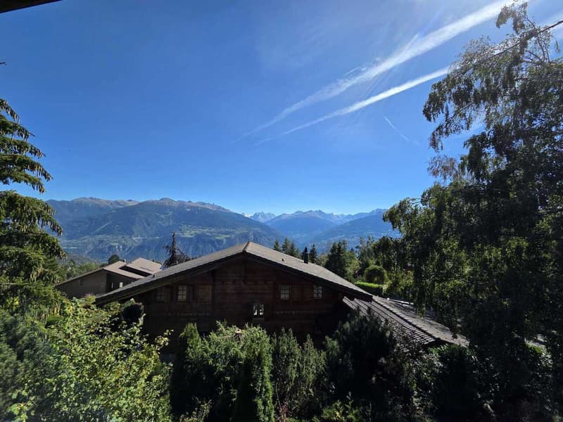 Chalet meublé à louer à l'année - reprise de bail au 31.10.26 (3)