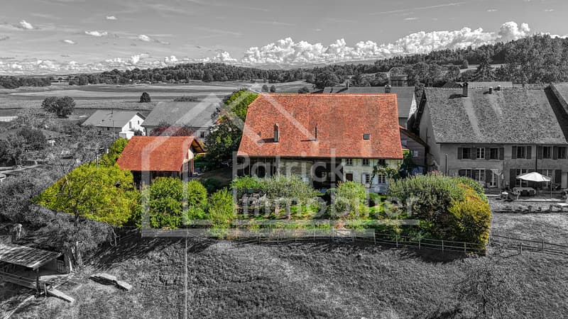 Ferme rénovée de caractère avec fort potentiel constructif (2)