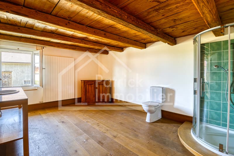 Ferme rénovée de caractère avec fort potentiel constructif (13)