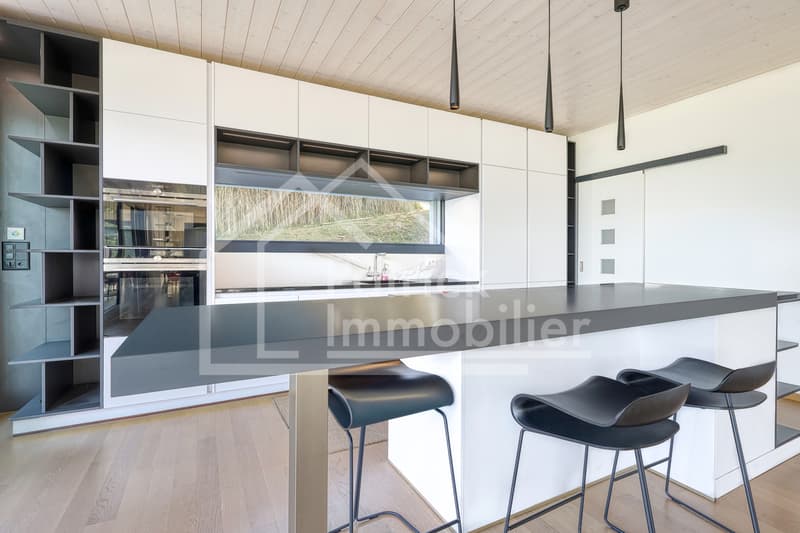 Propriété contemporaine d'exception avec vue panoramique sur le lac (5)