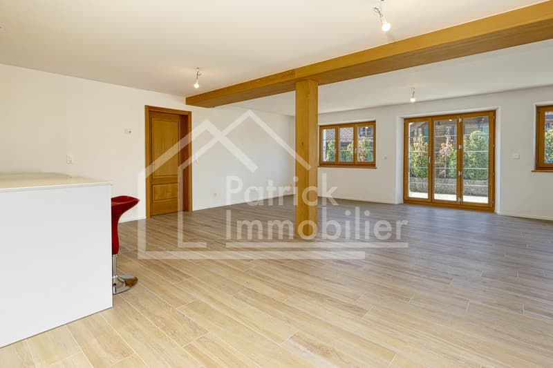 Spacieux appartement de 5.5 pièces avec terrasse de 100 m² (2)