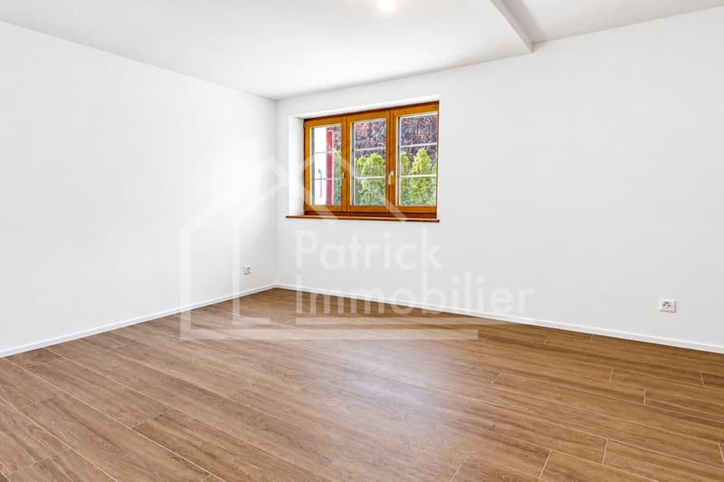 Spacieux appartement de 5.5 pièces avec terrasse de 100 m² (8)
