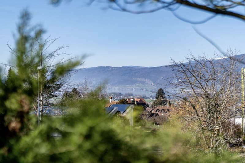 Charmante villa dans un cadre privilégié près de Bienne (11)