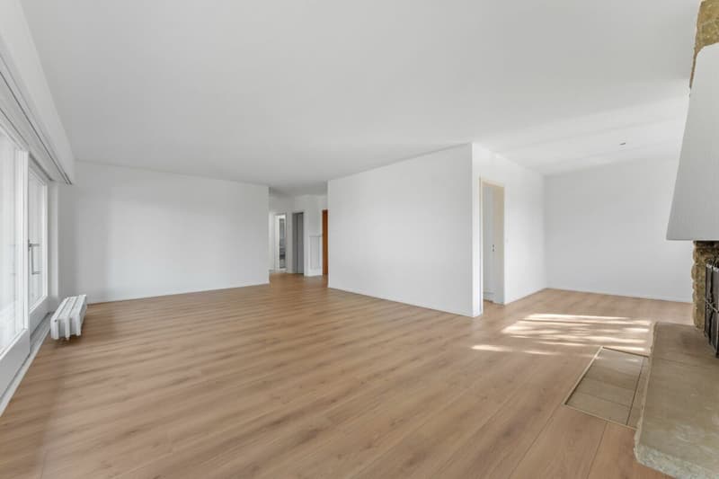 Charmante villa dans un cadre privilégié près de Bienne (3)