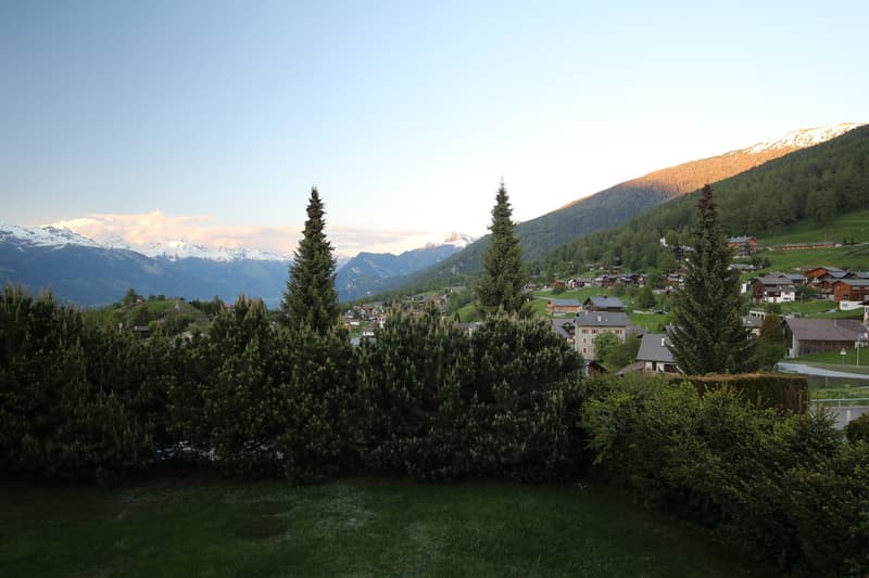 alpine scenery, pine trees, green meadows, village, snow-capped mountains