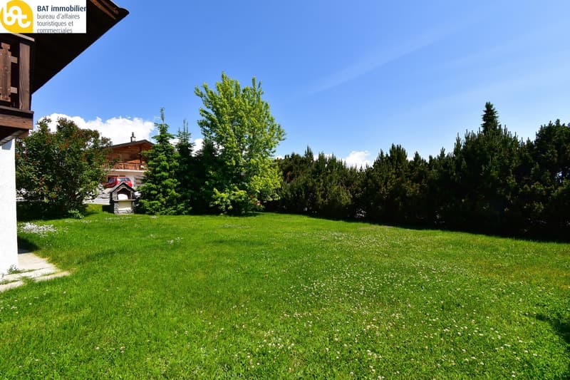 Large green lawn, red car parked, trees, house behind
