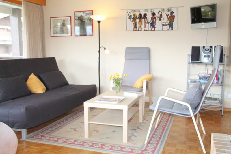 Living room with a black sofa, white coffee table, gray armchair, shelves with books and electronics, framed artwork on the walls, and a colorful patterned rug on the floor.
