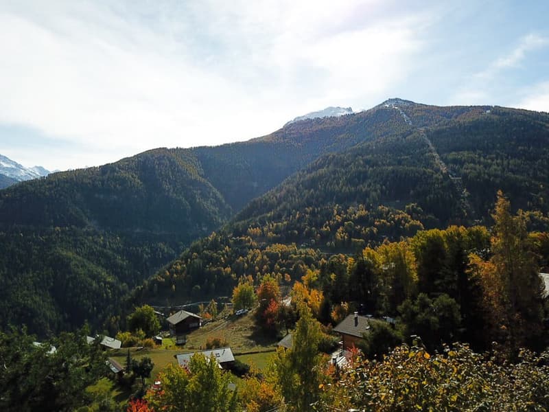 aerial view of a valley with multiple houses, surrounded by forests and mountains