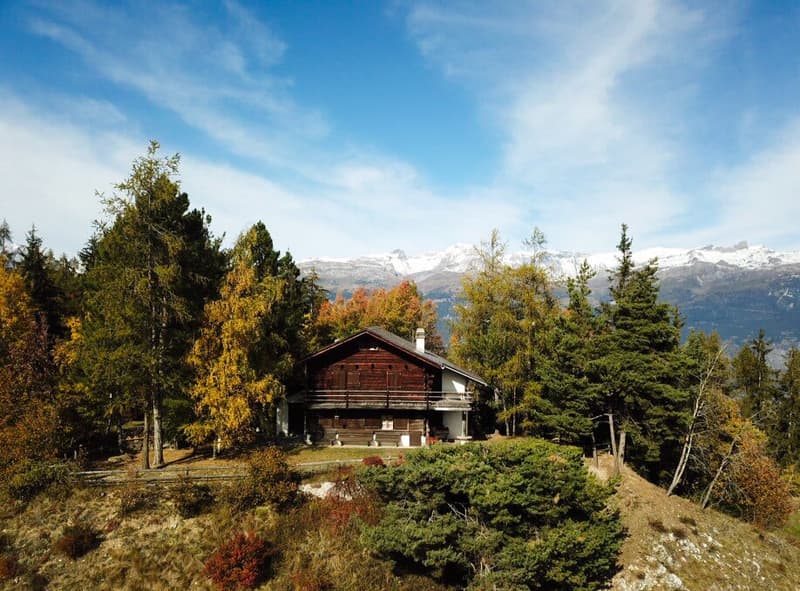 Wooden house, wooden balcony, surrounded by trees, mountains in the background
