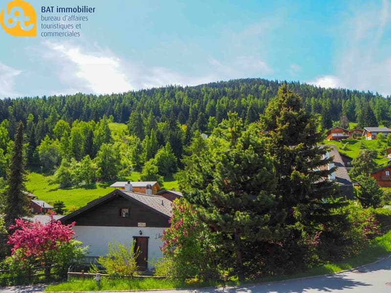House with a mountain view, surrounded by lush green hills, a large tree in front, other houses and a small hill behind, a small garden with trees and bushes.