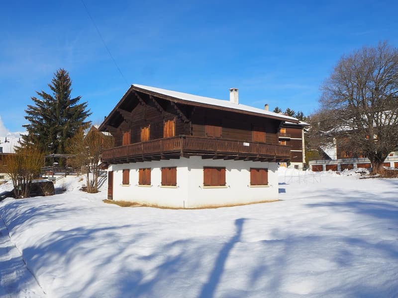 Località di vacanza - Chalet con ampio spazio esterno a Vercorin (14)