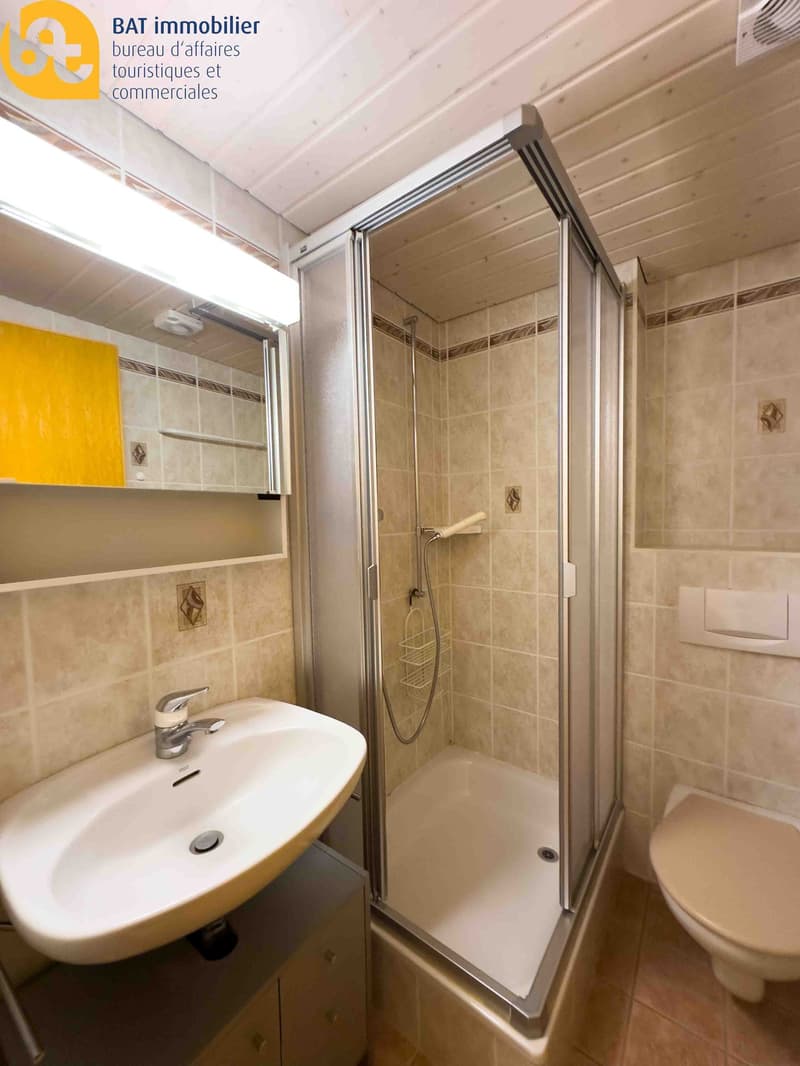 Bathroom: shower cubicle, sink, toilet, mirror, tiled walls and floors, ceiling light