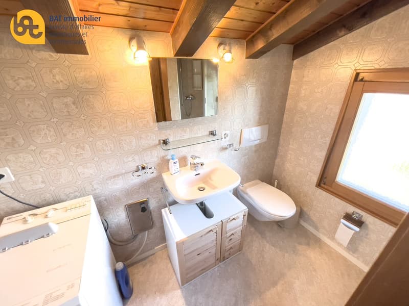 Duplex sulle alture di Vercorin per 7 persone (7)