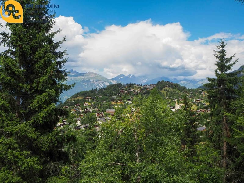Appartamento luminoso di 2 locali a Vercorin (9)