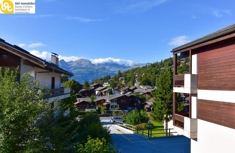 Chalet ristrutturato "Raccard des Arolles" (20)