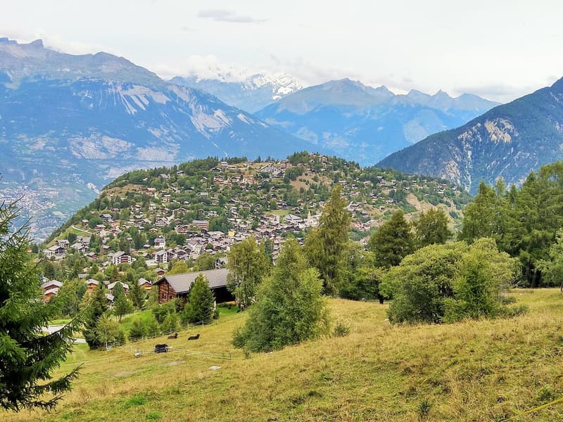Chalet "Spirou" 5 locali a Vercorin (11)