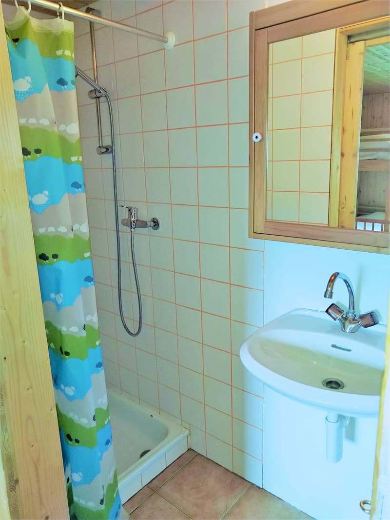 Chalet "Spirou" 5 locali a Vercorin (10)