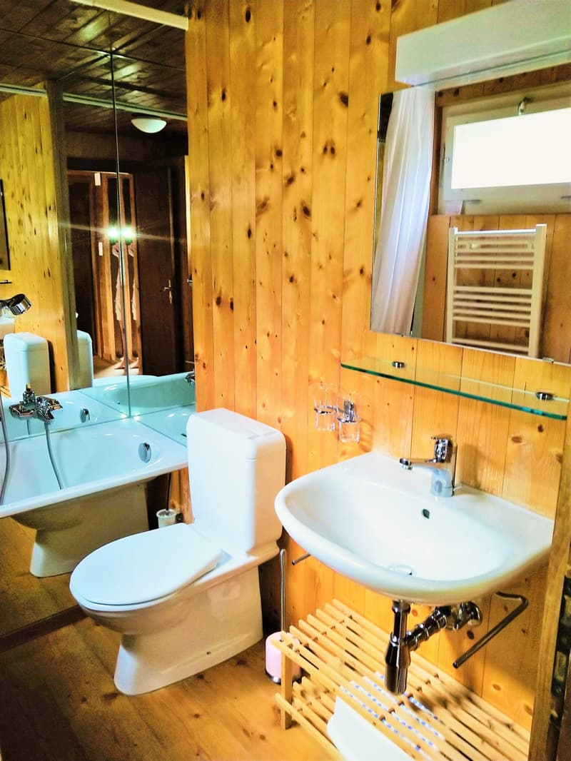 Chalet "Spirou" 5 locali a Vercorin (9)
