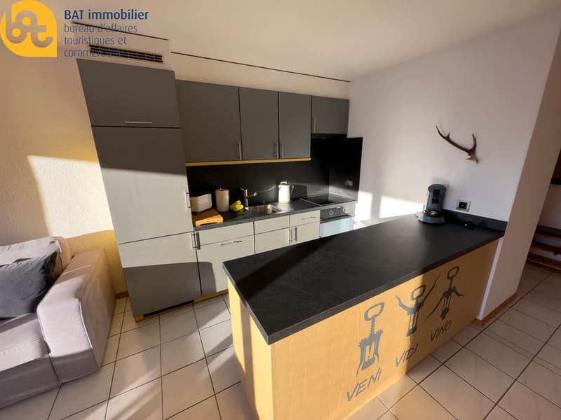 Ferienwohnung in Nax - Les Jausses 3 "La Maya" Nr. 185 (4)