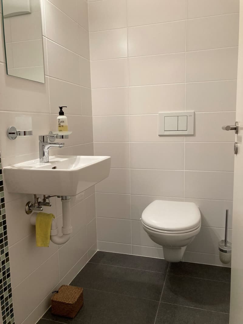 Zu vermieten für ein Jahr - Prachtvolles Duplex mit atemberaubendem Blick in Nax (12)