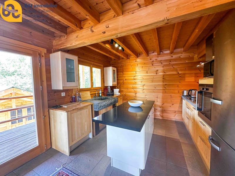 Nouveauté pour l'été - appartement lumineux et spacieux au rez supérieur d'un chalet (6)