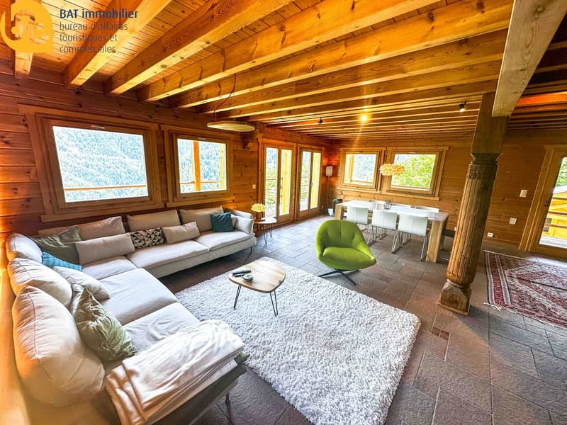Nouveauté pour l'été - appartement lumineux et spacieux au rez supérieur d'un chalet (2)