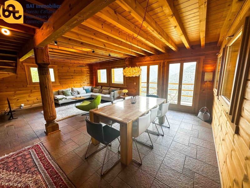 Nouveauté pour l'été - appartement lumineux et spacieux au rez supérieur d'un chalet (3)