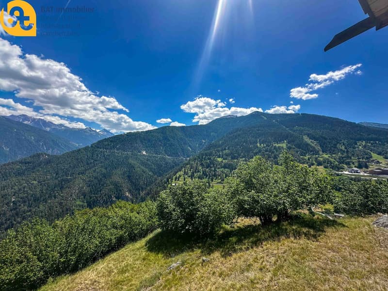 Nouveauté pour l'été - appartement lumineux et spacieux au rez supérieur d'un chalet (8)