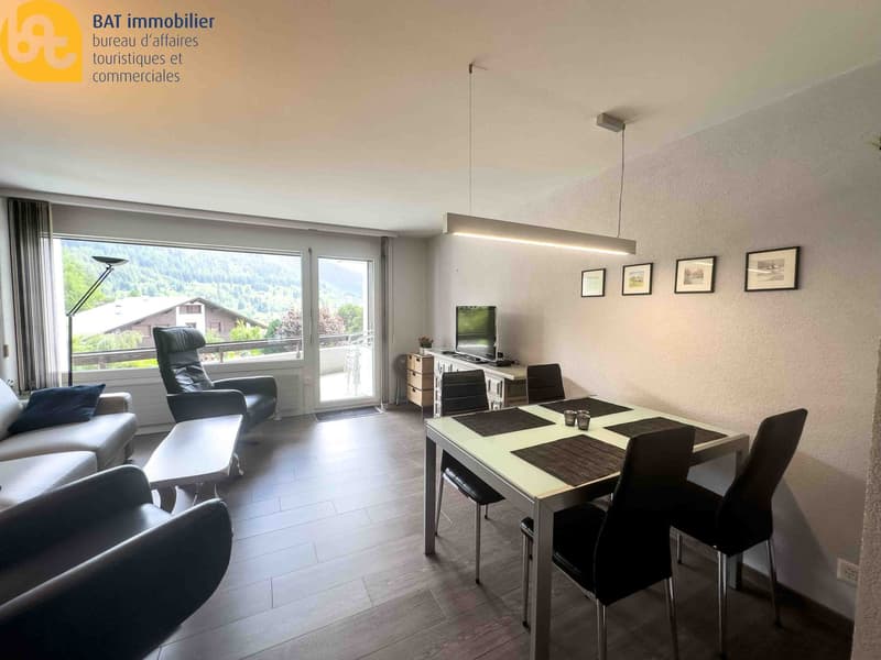 WINTER SEASON 2027 - rental of a 2-room apartment (4)