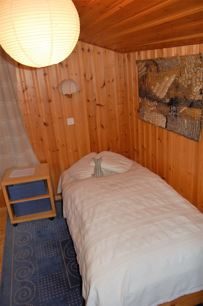SAISON HIVER 2027 - chalet 4 pièces avec jardin et vue sur les montagnes (5)