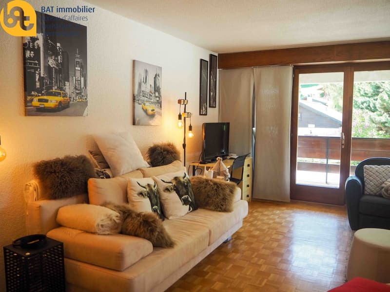 VACANCES - Appartements à louer à Vercorin - Valais central (4)