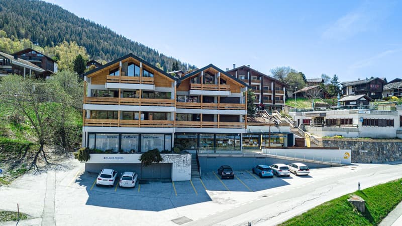 VACANCES - Appartements à louer à Vercorin - Valais central (1)