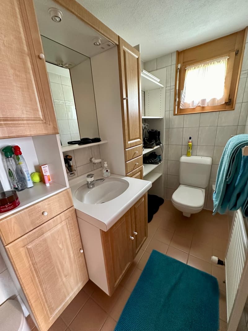 Charmant appartement de 3 pièces avec terrasse à Vercorin (11)