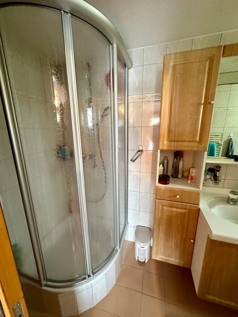 Charmant appartement de 3 pièces avec terrasse à Vercorin (12)