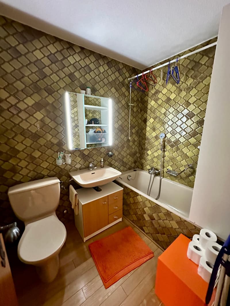 Charmant appartement de 3 pièces avec terrasse à Vercorin (13)