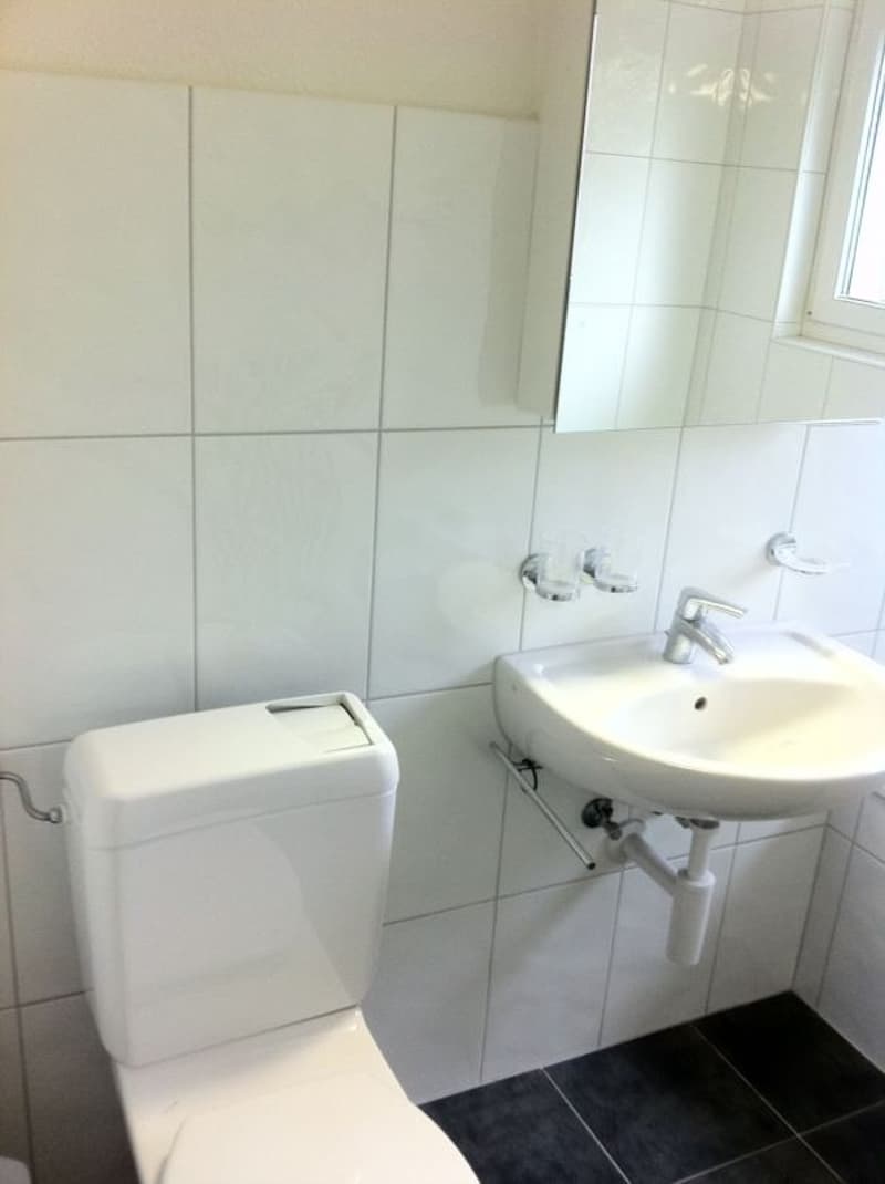 TOP-GELEGENHEIT: Elegante Wohnung mit grossem Balkon (4)