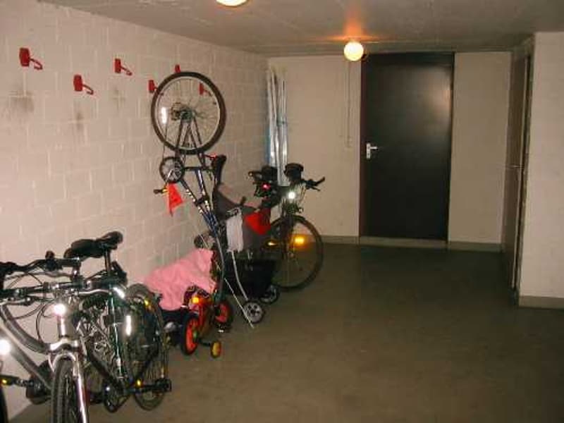 4 1/2 Zi.-Wohnung, sonnig und hell  in 4 Fam.-Haus (11)